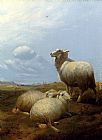 Sheep At Pasture by Thomas Sidney Cooper